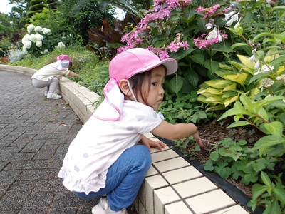 100_2237.JPG